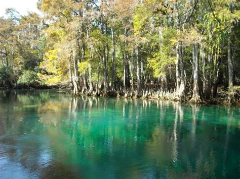 Manatee Springs State Park (Chiefland) - 2019 All You Need to Know