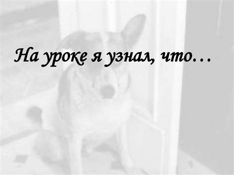 М. Булгаков. «Собачье сердце». Система образов произведения ...