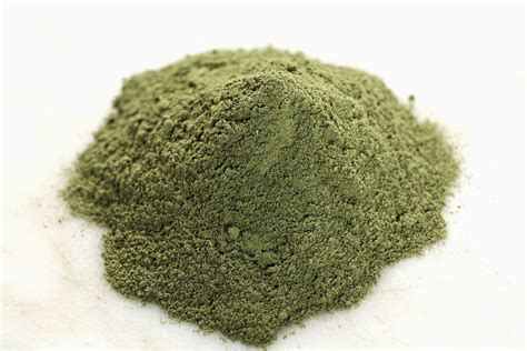 Mloukhia Tunisienne 100 Gr