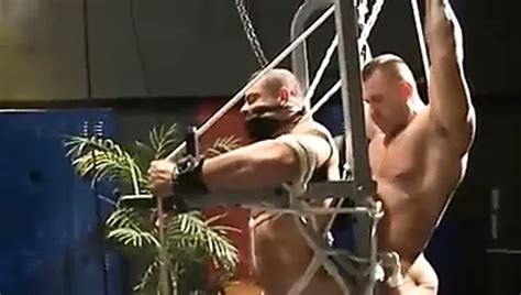 Free Muscle Bondage Gay Porn Videos Xhamster