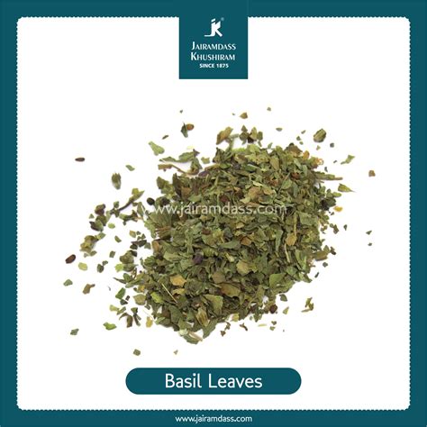 Manufacturer of Sweet Basil Leaves | Ocimum Basilicum | Seasonings