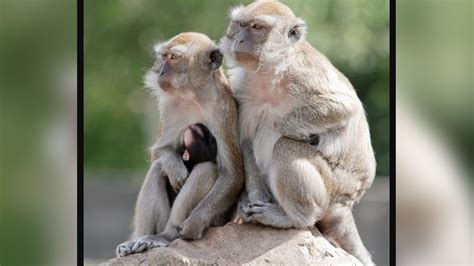 How steven mesa blessed escaped a dangerous past to find fame 26