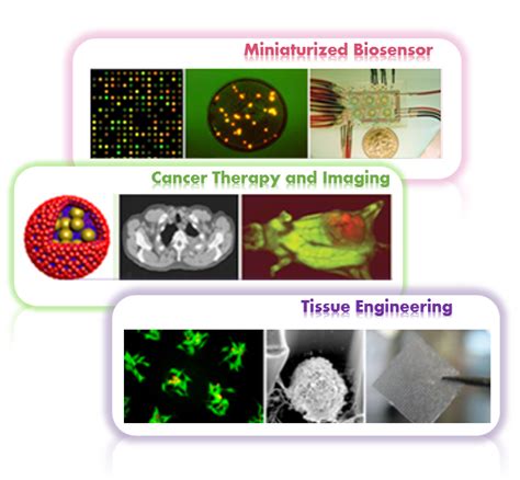 Yonsei University Biomaterials Lab