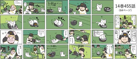 「猫ピッチャー」あなたのおススメ回は？ベスト3を決定します！ : 読売新聞