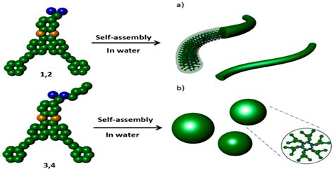 Polymers Free Full Text Construction Of Supramolecular