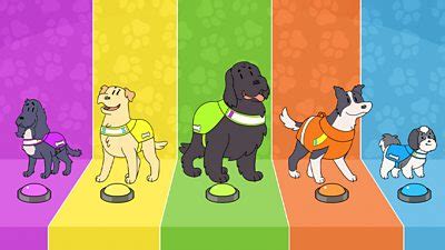 Dog Squad: Meet the dogs - CBeebies - BBC