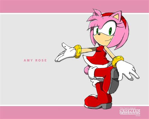 Amy Rose Wallpapers - Wallpaper Cave