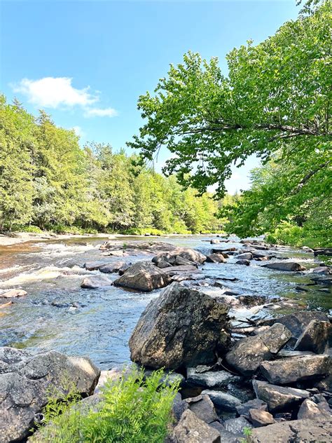 The Grasse River Cabins Hipcamp In Russell New York