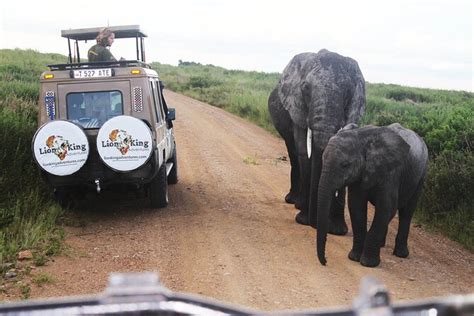 5 Days Best Of Tanzania Luxury Safari Northern Circuit Travel Buddies