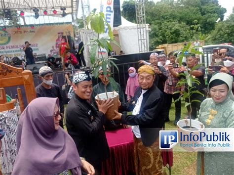 Infopublik Festival Mangga Pemalang 2022 Ajang Promosi Produk Mangga