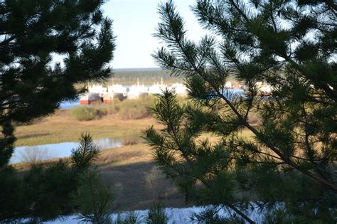 Пеледуй | Пикабу