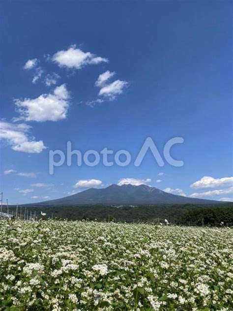 自然 No 22532868｜写真素材なら「写真ac」無料（フリー）ダウンロードok