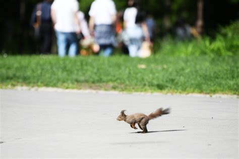 U Srbiji danas promenljivo oblačno i toplo vreme Naslovi net