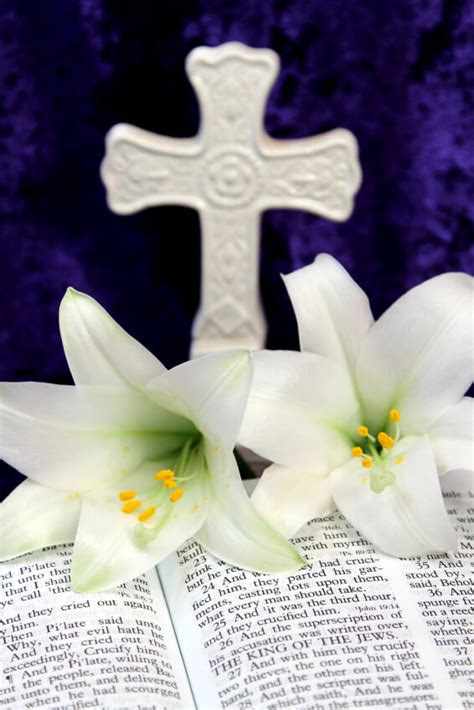 conceito de salmo definicao