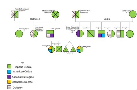 Ten Free Editable Genogram Examples