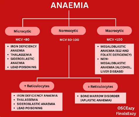 Anaemia Cheat Sheet Content Medall