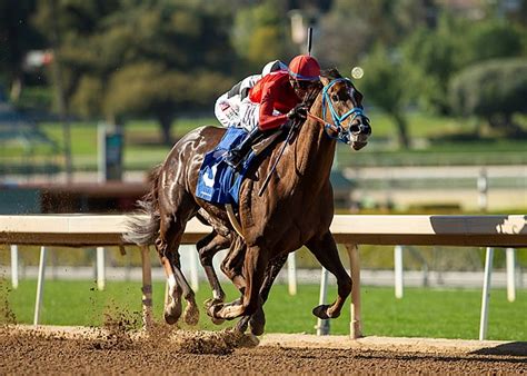 BloodHorse on Twitter: "Dance to the Music Skips to Victory in Desert ...