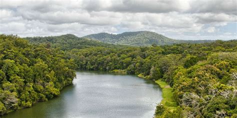 Parque Nacional De Daintree Cultura Abor Gene Melhores De