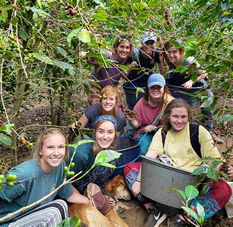 Eco Farming & Agriculture Supporter | Voluntariado en Guatemala 2024