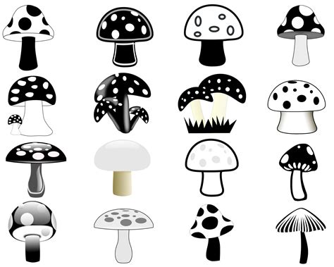Mushroom Svg Mushroom Svg Bundle Mushroom Clipart Mushrooms Svg