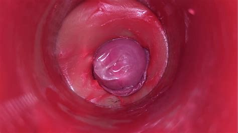 Camera Inside Pussy Powerfull Cum In Pussy Best Internal Asmr In 4k Xxx Mobile Porno Videos