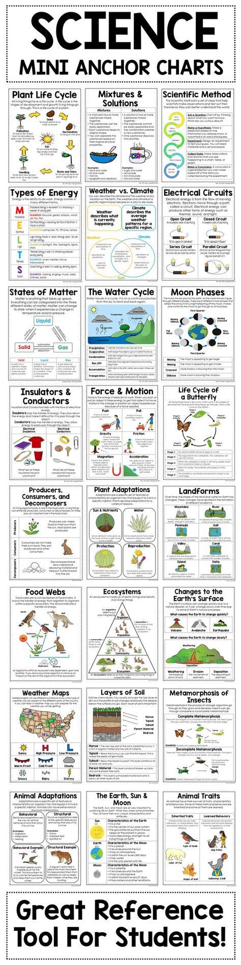 Science Mini Anchor Charts Bundle Th Grade Science Science Lessons