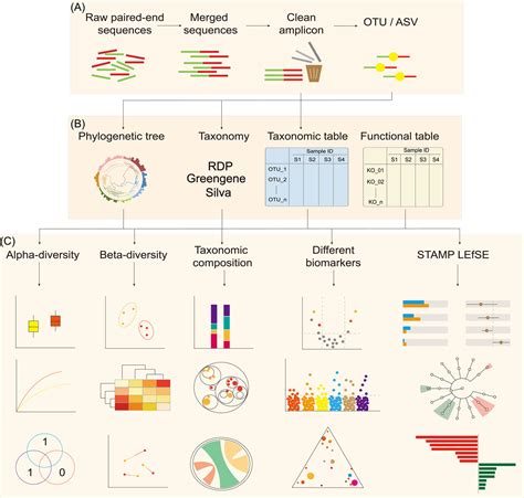 Qiime Beta Diversity Tree Clipart