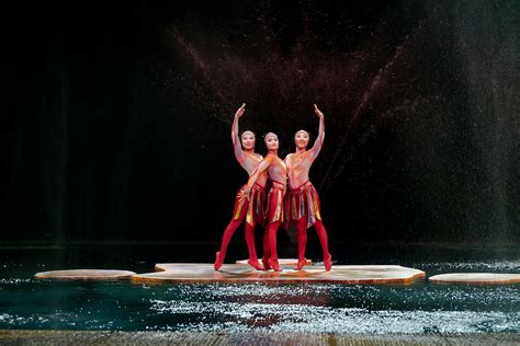 cirque du soleil  las vegas  bellagio