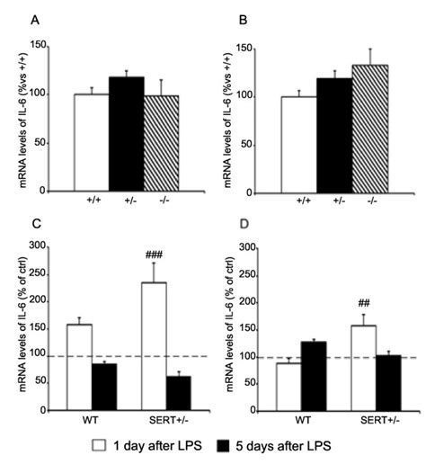 Analysis of interleukin (IL)-6 gene expression in the hippocampus of ...