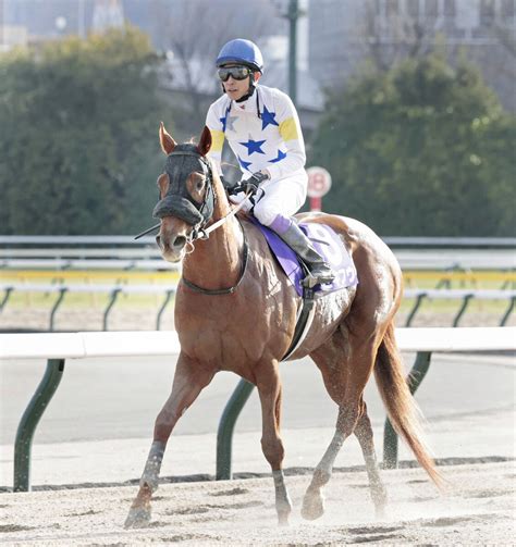 【フェブラリーs】武豊騎手「いい伸び脚でした」 13番人気の武幸厩舎セキフウで3着 ライブドアニュース