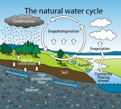 The Water Cycle — Perkiomen Watershed Conservancy