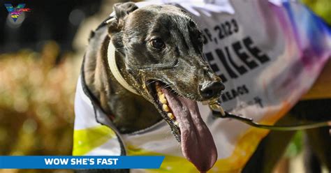 Wow Shes Fast Out Of Perth Cup