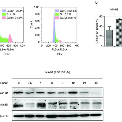 Rev Arrested Nk Cell Cycle At G Phase A Dna Content Of Cells