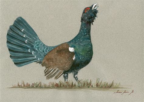 Capercaillie Displaying Painting By Juan Bosco Pixels