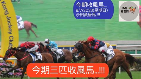 今期收風馬972023 星期日 沙田黃昏馬賽事 今期三匹收風馬 香港賽馬 賽馬 賽馬貼士 Youtube