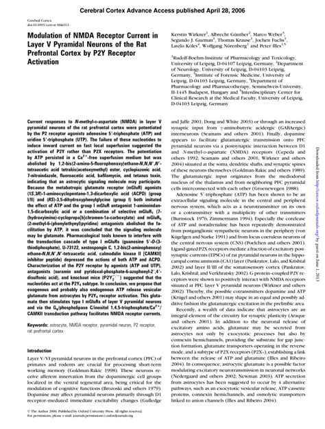 Pdf Modulation Of Nmda Receptor Current In Layer V Pyramidal Neurons