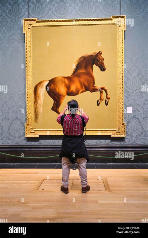 A visitor takes a picture of George Stubbs' Whistlejacket horse