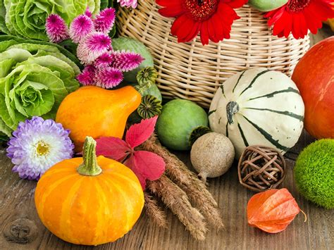 Тыква Фуд Фото – Telegraph