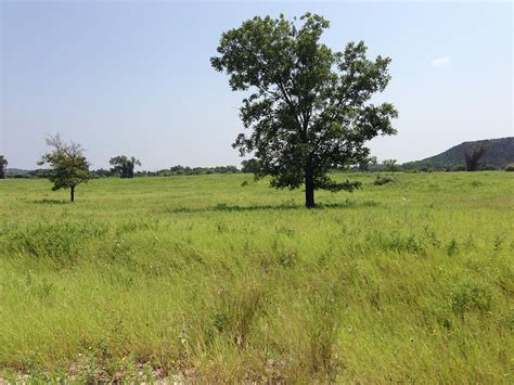 Bee Mountain Resort ~ Camping On The Brazos River!!! — The Resort