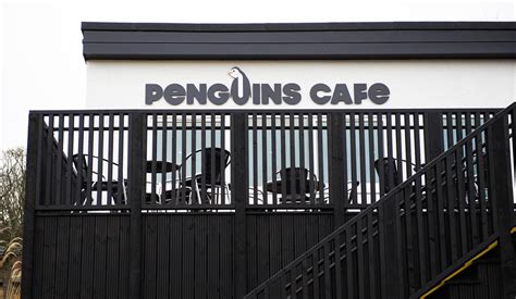 442 Design › Edinburgh Zoo Penguin Café