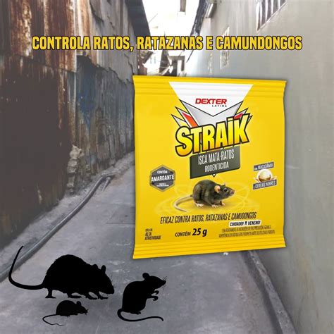 O Que E Bom Para Matar Rato - Raticida Straik 1 KG com 40 iscas de 25g - Eficaz contra ratos ...