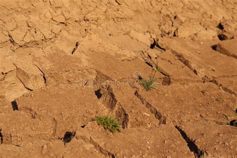 Fundo De Terra Rachada Seca Na Esta O Rida Muitas Prov Ncias Do