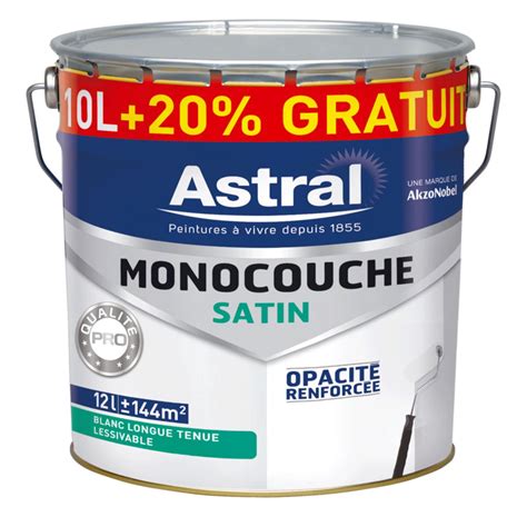 Peinture Monocouche Acrylique Int Rieur Qualit Professionnelle Blanc