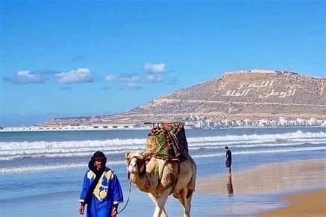 Camel Riding Agadir Travel Buddies