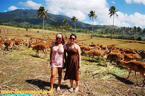 I Am The Sexy Nomad Deer Farm In Ocampo Camarines Sur Bicol