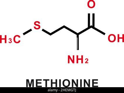 Metionina L Metionina Met M Mol Cula De Amino Cido Esencial