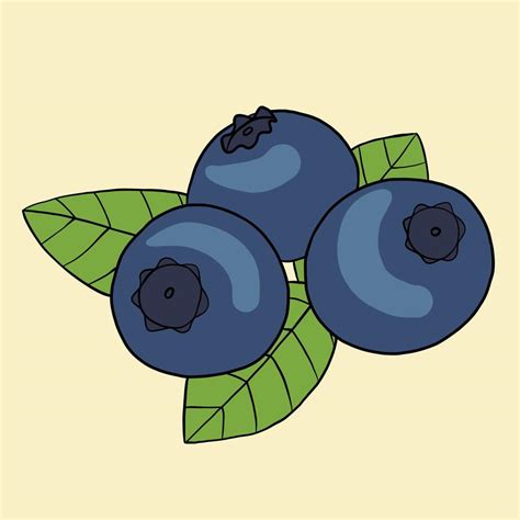 Doodle freehand sketch drawing of blueberry fruit. 3527857 Vector Art at Vecteezy