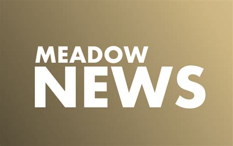 Bronco News | Meadow ISD