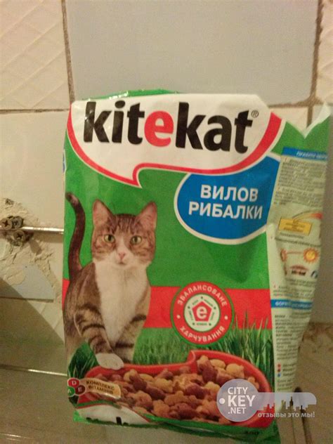 Kitekat («Китикет»): плюсы и минусы корма для кошек, его состав, виды ...