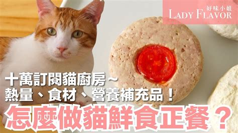 貓鮮食的正餐怎麼做 營養補充品大公開【好味貓廚房特別篇】 Youtube